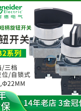 施耐德旋钮XB2BD21C/BD33C/BD53C/BD41C三挡两档自锁自复位ZB2 BE