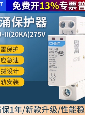 CHNT正泰浪涌保护器220V家用电涌NXU-II 2P 20kA避雷器代替NU6-Ⅱ