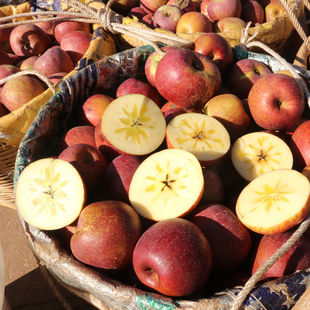 大凉山盐源高山红富士糖心新鲜当季丑苹果脆甜天然生长现摘非嘎啦