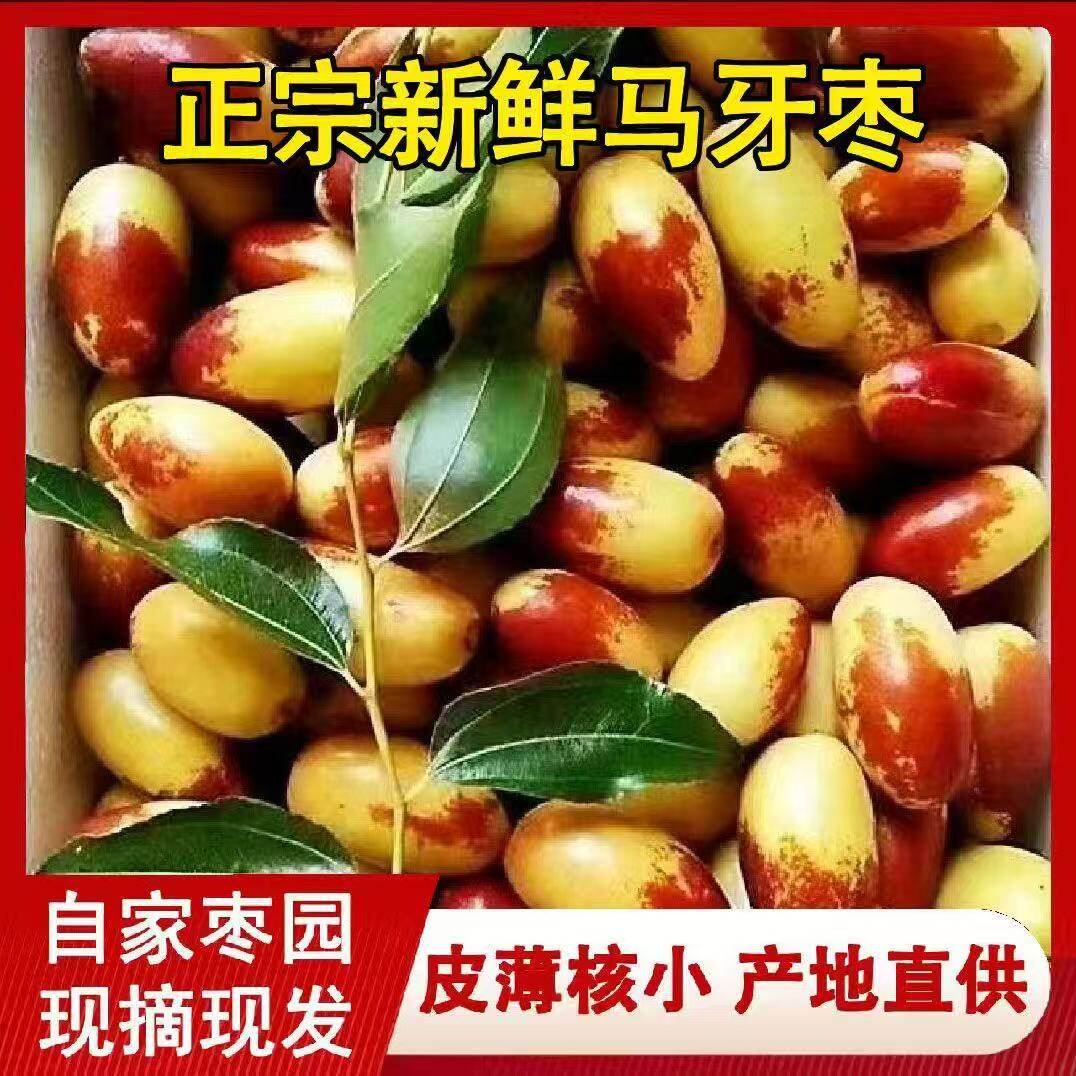 【脆甜】鲜枣新鲜水果马牙枣鸡心长枣大红枣非灵武冬枣可以蒸着吃