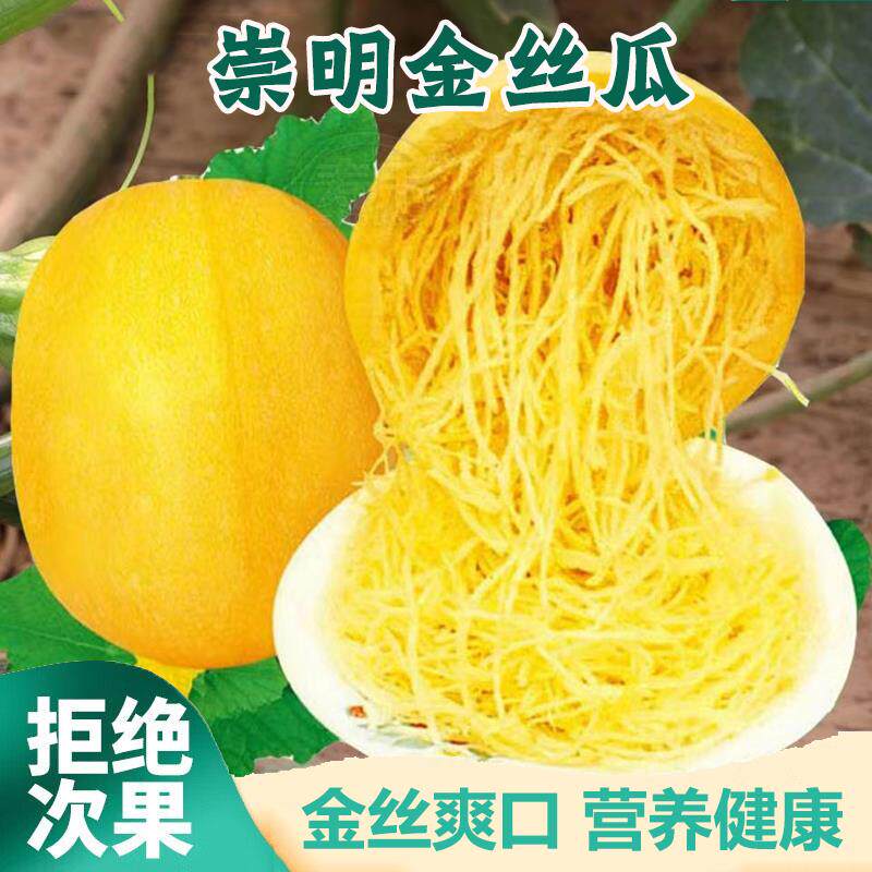 上海崇明岛金丝瓜新鲜角瓜搅瓜绞瓜黄金瓜角瓜绞瓜面条瓜鱼翅瓜