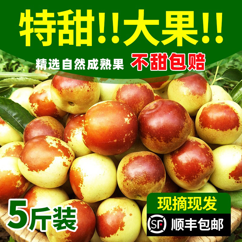 顺丰陕西大荔冬枣礼盒新鲜水果当季现摘特大脆甜红鲜枣子现货红枣