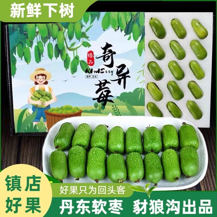顺丰包邮软枣猕猴桃鲜果现摘青皮奇异莓新鲜拇指弥猴桃东北圆枣子