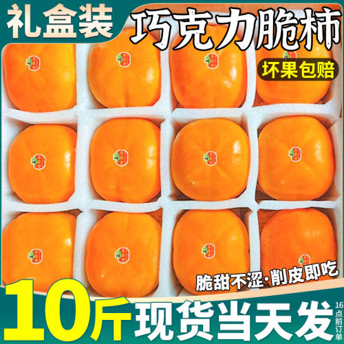 精品大果 广西脆巧克力柿子冷冻水果冰糖心当季现摘现发整箱5