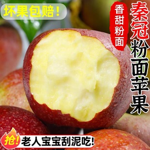 陕西粉面秦冠香苹果新鲜沙瓤甜整箱高山农村好吃丑红大小苹果水果