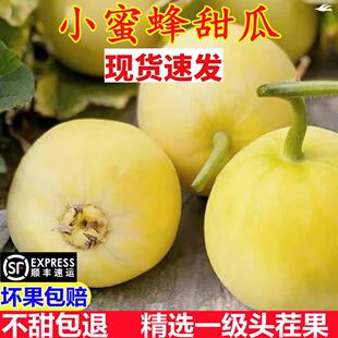 山东小蜜蜂甜瓜新鲜当季水果整箱星甜20白糖罐马连庄蜜罐香瓜5斤