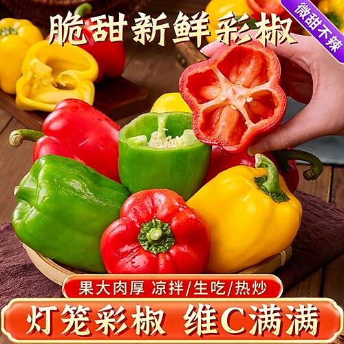 水果彩椒新鲜生吃五彩甜椒潍坊黄色菜椒七彩红灯笼小米辣椒蔬菜