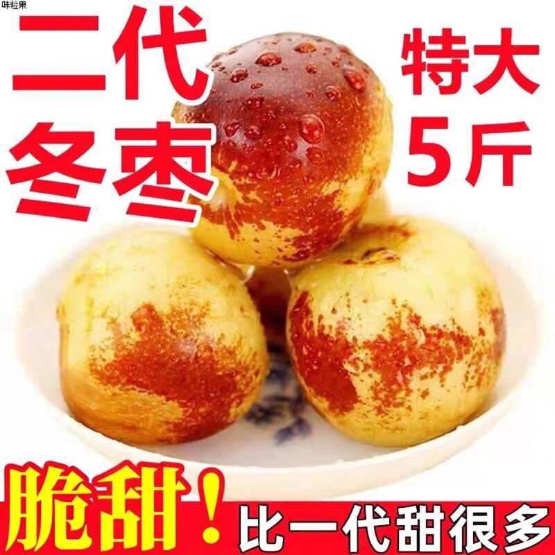 山东沾化冬枣正宗产自沾化的二代冬枣山东特产冬枣现货甜脆多汁