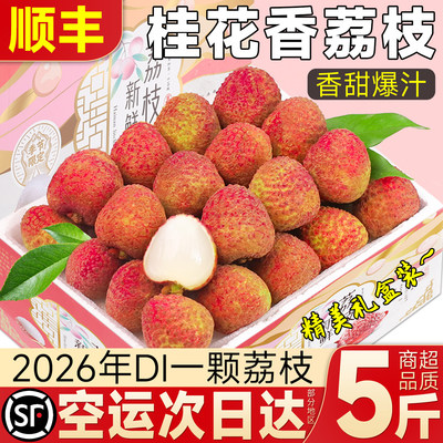 顺丰空运早熟海南桂花香荔枝5斤现摘当季老树新鲜水果非冷冻