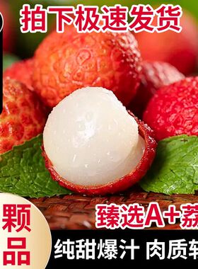 【顺丰24小时到家】黑叶荔枝冰冻老树荔枝热带水果大荔枝整箱