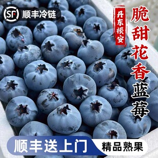 丹东L25花香蓝莓甜脆新鲜高端当季 大果高山怡颗孕妇水果整箱顺丰