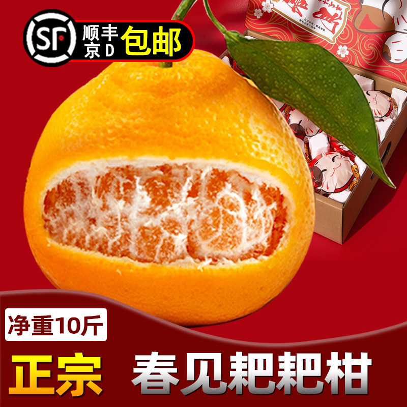 四川丑橘新鲜耙耙柑橘子水果桔子粑粑柑10斤杷杷柑整箱丑八怪,水产肉类/新鲜蔬果/熟食,桔子,淘宝优惠券,粉丝福利购,淘宝优惠卷