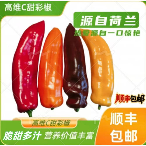 顺丰云南卡乐佩普芭莱姆生吃水果头茬彩椒甜椒黄五彩四色沙拉不辣