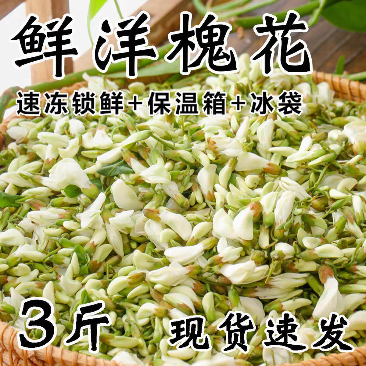 2026年新鲜洋槐花现摘现发当季蔬菜农家野菜刺槐树鲜花骨朵食用图片