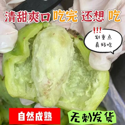 云南食用仙人掌大果实孕妇应季新鲜梨果水果绿皮白芯现摘现发仙桃