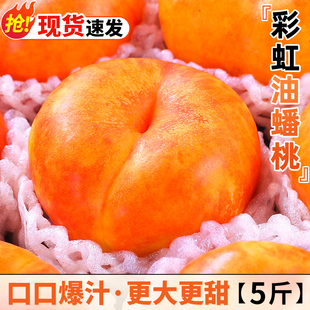 彩虹油蟠桃5斤桃子黄金奶油扁甜蜜潘桃新疆新鲜水果当季整箱