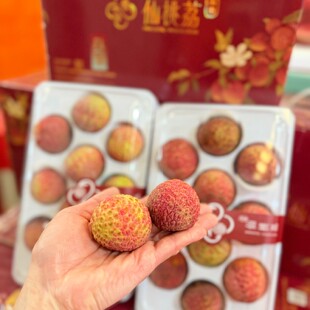 正宗海南仙桃荔荔枝礼盒装当季新鲜水果大荔枝核小肉厚多汁