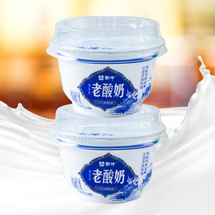 蒙牛老酸奶原味140g12杯风味发酵乳益生菌发酵早餐低温酸奶杯装
