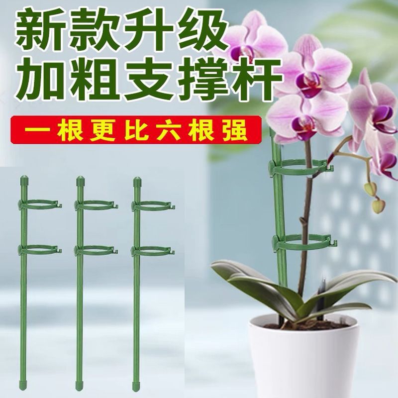 蝴蝶兰支架玻纤多肉花架植物支撑杆三角梅龟背竹固定防倒伏杆架子图片