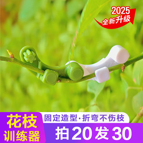 枝条固定造型训练器折弯可转动