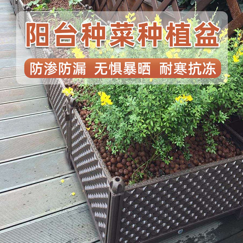 荷锄春阳台花箱长方形种植种菜盆