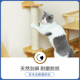 猫抓柱立式 剑麻磨爪器挂笼可替换实木抓板耐磨猫玩具防抓宠物用品