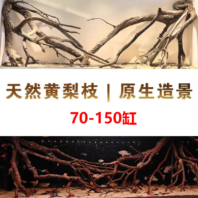 原生南美缸造景天然黄梨木黄栎木枝造景原生溪流缸造景套餐更划算