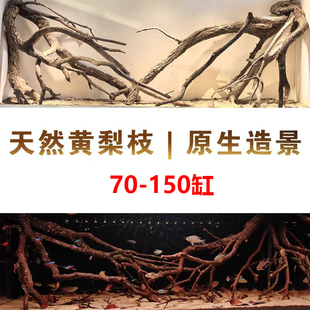 原生南美缸造景天然黄梨木黄栎木枝造景原生溪流缸造景套餐更划算