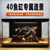 40鱼缸一代南美缸造景整体一体骨架黄梨木黄栎沉木拱桥一图一拍