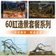 60鱼缸原生南美雨林缸天然枯木套餐黄梨枝造景木全套树叶树枝装 饰