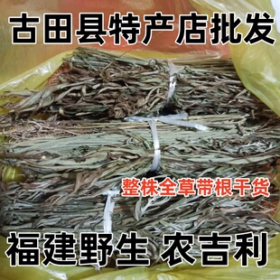 野生农吉利 鼠蛋草 响铃草 野百合 山芝麻 野芝麻 全草干货包邮