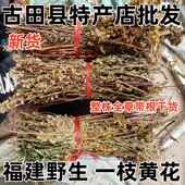 百根草 包邮 大叶七星剑 整株全草干货 金锁匙 野生一枝黄花