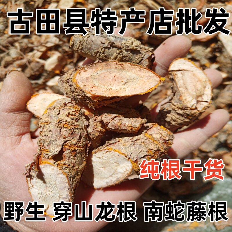 野生南蛇藤根 穿山龙根 川山龙 串地龙 地龙骨 过山龙根 纯根干货