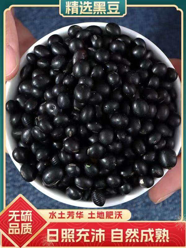 东北黑豆绿芯颗粒饱满打豆浆非转基绿心小仁农家杂粮500g小包装