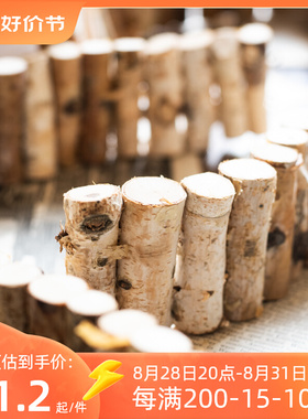 JK慕空间  白桦实木栅栏花盆围栏室内花园庭院装饰小篱笆造景摆件