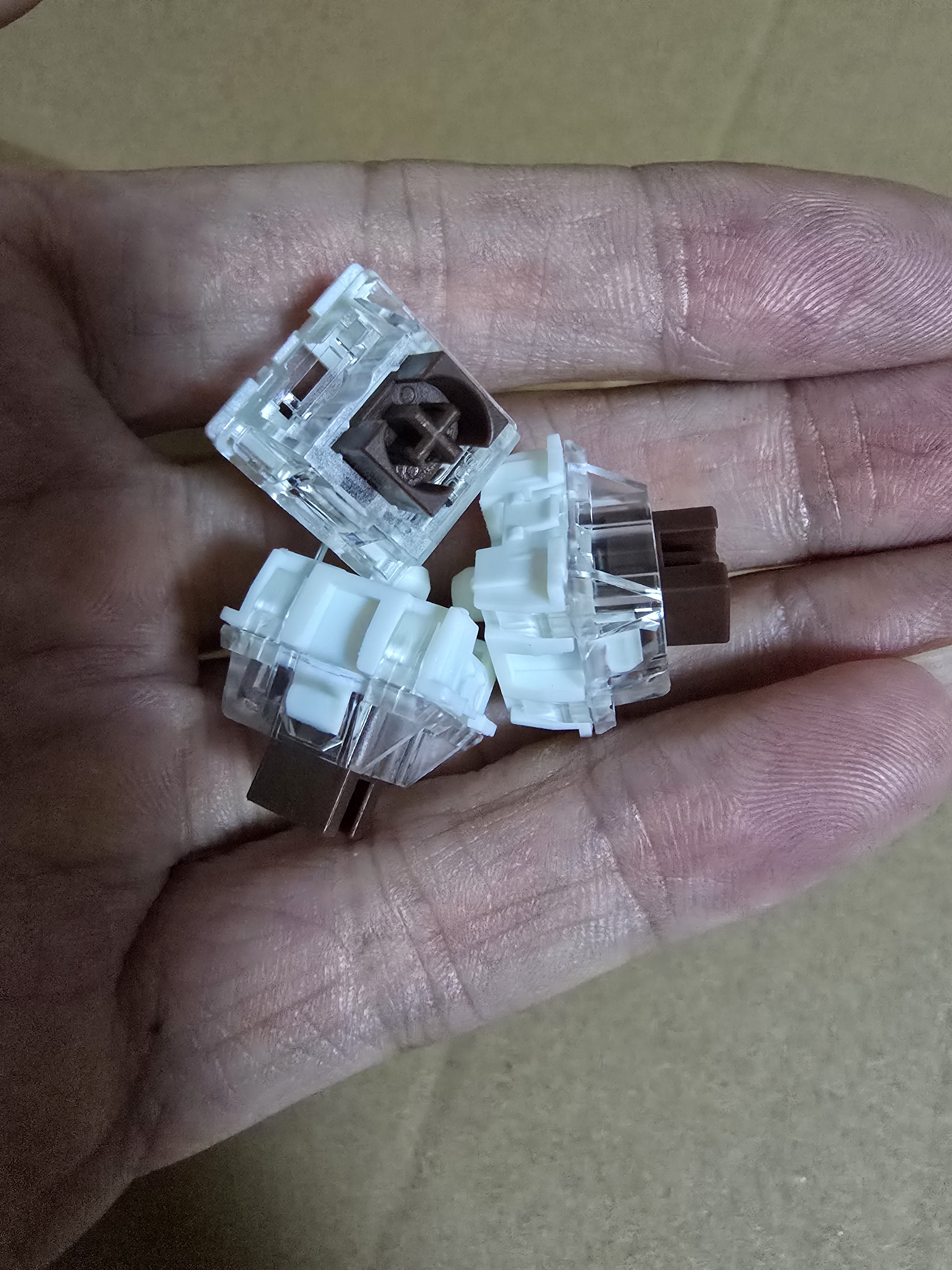 茶轴 线性茶轴 防尘茶轴100颗防氧化针脚 一份100颗,电子元器件市场,PCB电路板/印刷线路板,淘宝优惠券,粉丝福利购,淘宝优惠卷