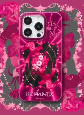 【支持17】艺术家授权星期天家喜鹊飞驳和声艺术双层半透明复古卡通IMD时尚iPhone15ProMax苹果华为p70mate60