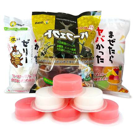 甲虫果冻独角仙锹甲昆虫果冻饲料花金龟兜虫毛象成虫黑糖食物食台