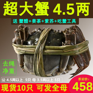 武汉梁子湖区附近大闸蟹公螃蟹4.5两以上5只 母3.5以上5只可全母