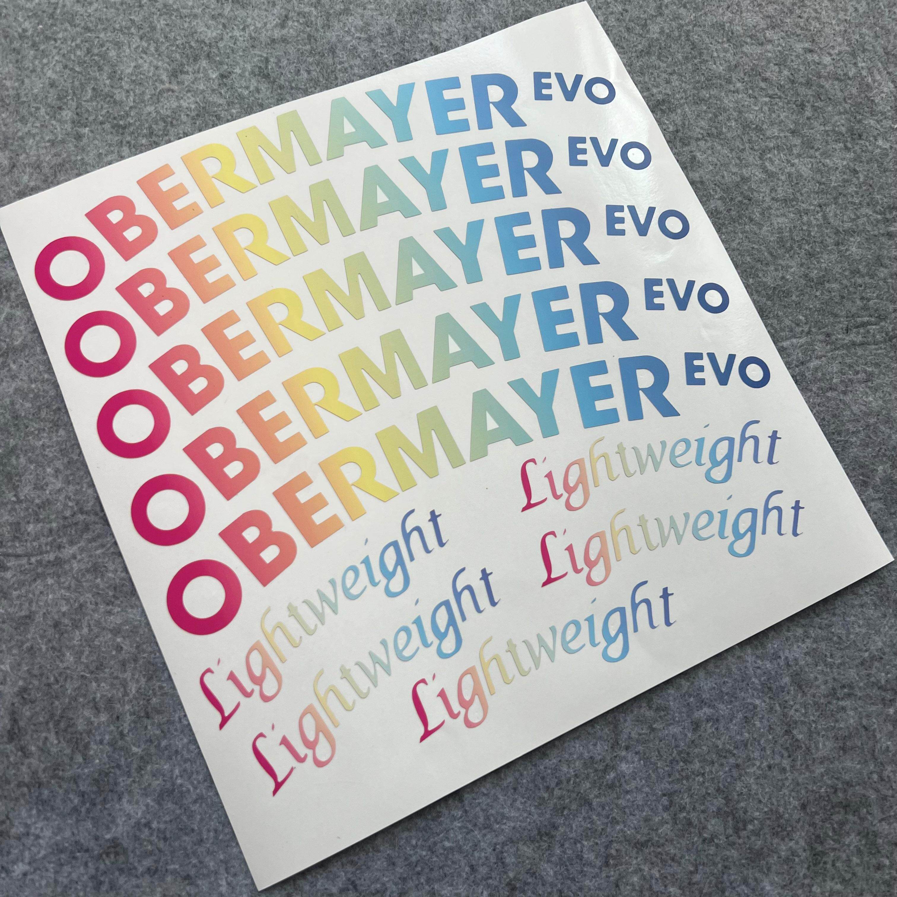 德国老王LIGHTWEIGHT OB EVO OBERMAYER公路轮组Logo改色贴纸防水