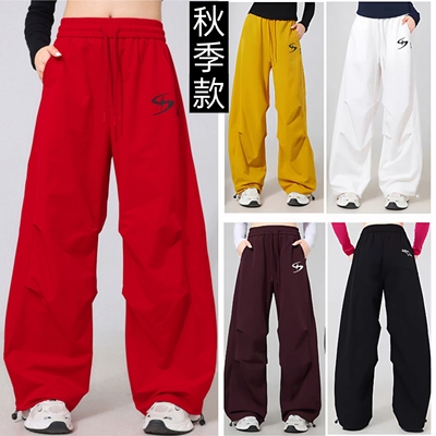 2026春季新款广场舞裤工装裤阔腿曳步舞时尚鬼步舞跑步运动裤嘻哈