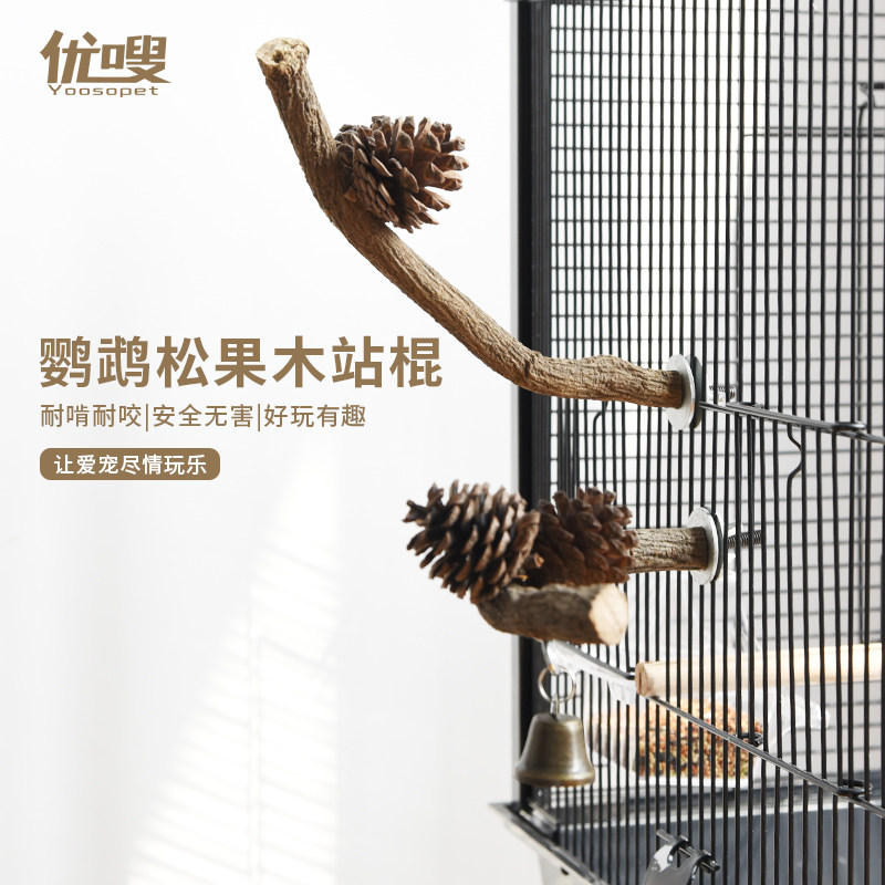 松花站杆鸟用磨爪鹦鹉实木图片