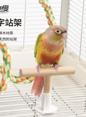 优嗖T字站架榉木实木战棍鸟笼互动鸟玩具牡丹玄凤磨爪鸟用站杆