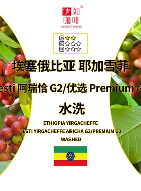 25产季 咖啡生豆 埃塞 耶加雪菲G2 Testi阿瑞恰/优选Premium 水洗