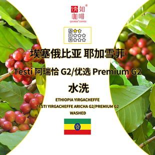 Testi阿瑞恰 咖啡生豆 埃塞 耶加雪菲G2 水洗 优选Premium