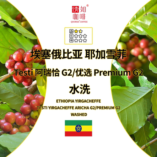 咖啡生豆埃塞耶加雪菲G2水洗