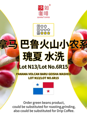 25产季 咖啡生豆 巴拿马 巴鲁火山 小农瑰夏 水洗 LotN13/NO.6R15