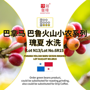 巴鲁火山 巴拿马 小农瑰夏 水洗 NO.6R15 25产季 LotN13 咖啡生豆