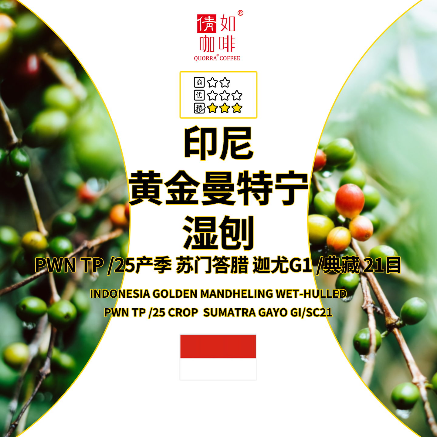 印尼咖啡生豆黄金曼特宁湿刨药草