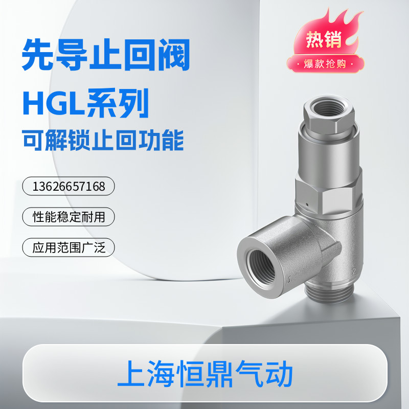 先导止回阀HGL现货速发